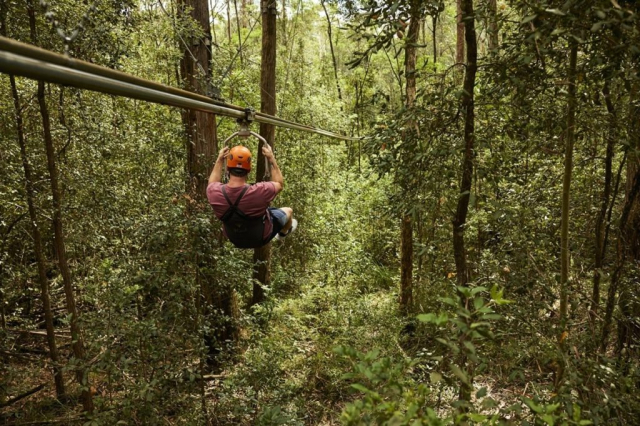 Central Coast Tourism Accommodation Business